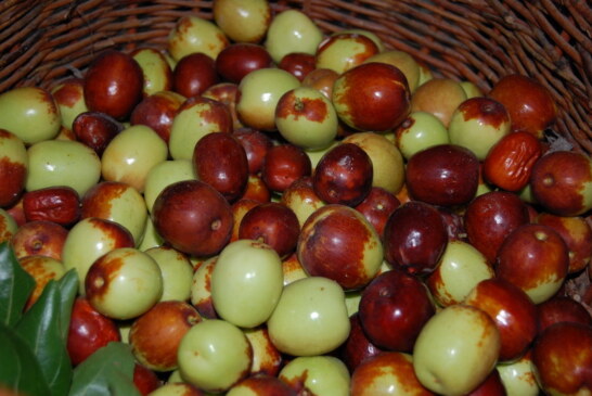 Manzanitas de Octubre