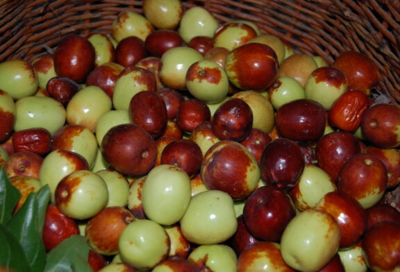 Manzanitas de Octubre