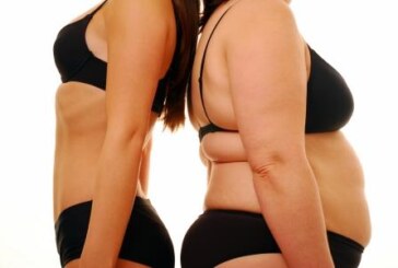 ¿El exceso de grasa encoge el cerebro?