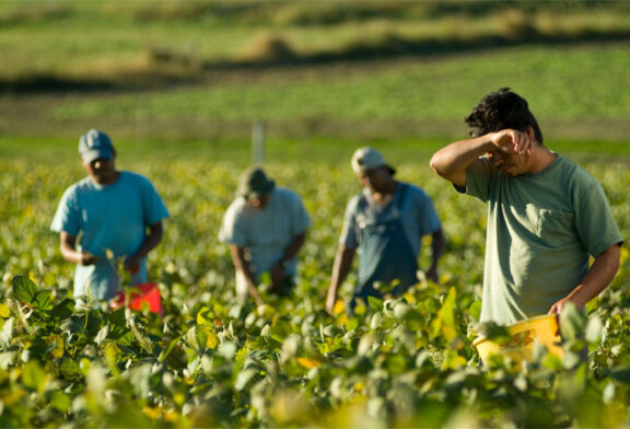 US Labor Department announces $81 million in available funds to support migrant, seasonal farmworkers