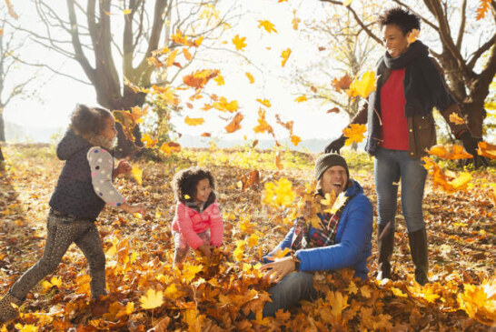 City of Cleveland Leaf Pick-up Program to Begin Nov. 4