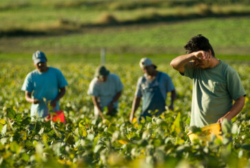 US Labor Department announces $81 million in available funds to support migrant, seasonal farmworkers